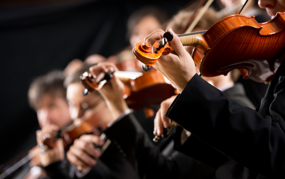 the violin section